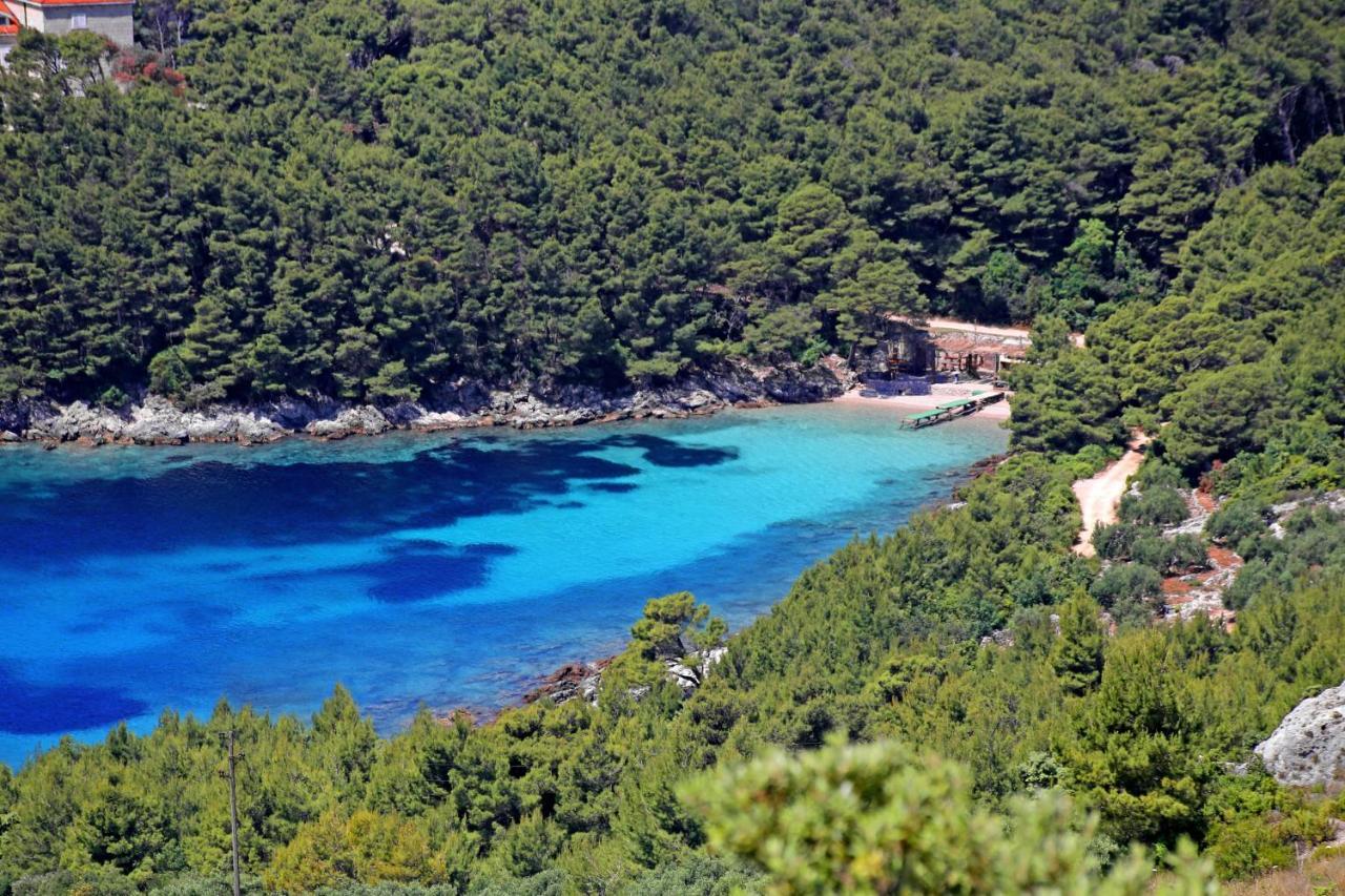 Apartments By The Sea Luka Dubrava, Peljesac - 14040 Putniković Buitenkant foto
